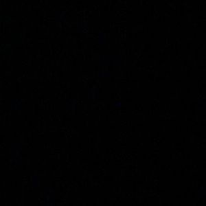 Meet your Posher, Fiona